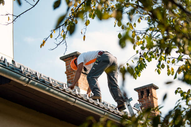 Best Local Roofing Companies  in Point Mackenzie, AK
