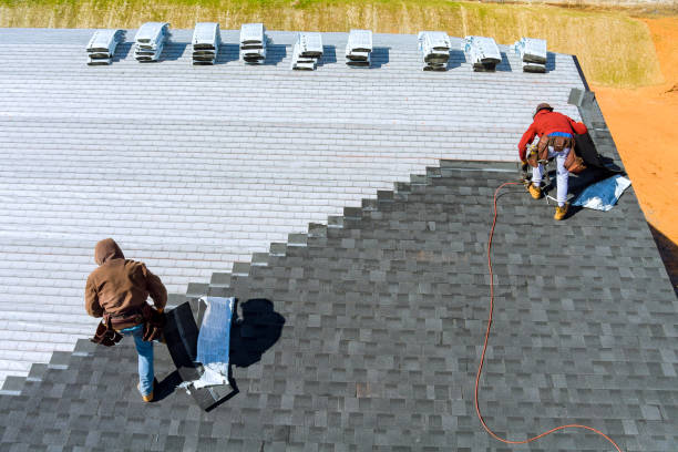 Best New Roof Installation  in Point Mackenzie, AK