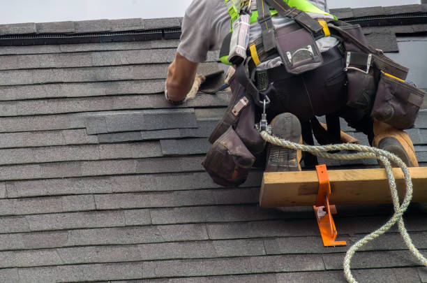 Best Slate Roofing Contractor  in Point Mackenzie, AK