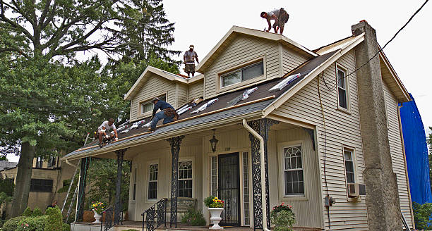 Best Tile Roofing Contractor  in Point Mackenzie, AK