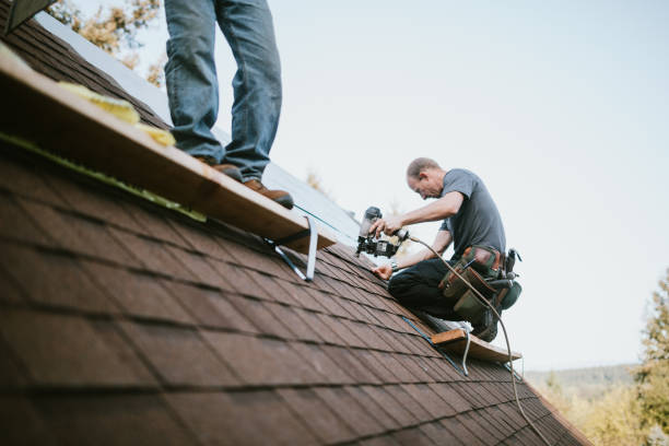 Best Best Roofing Contractors  in Point Mackenzie, AK
