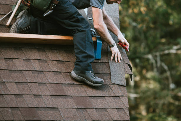 Best Affordable Roofing Company  in Point Mackenzie, AK